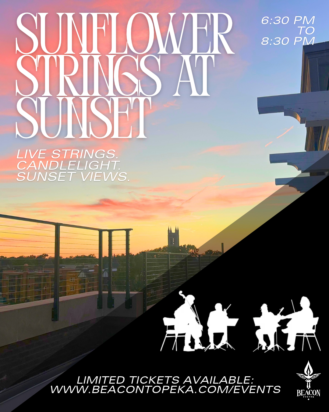 Sunflower Strings at Sunset